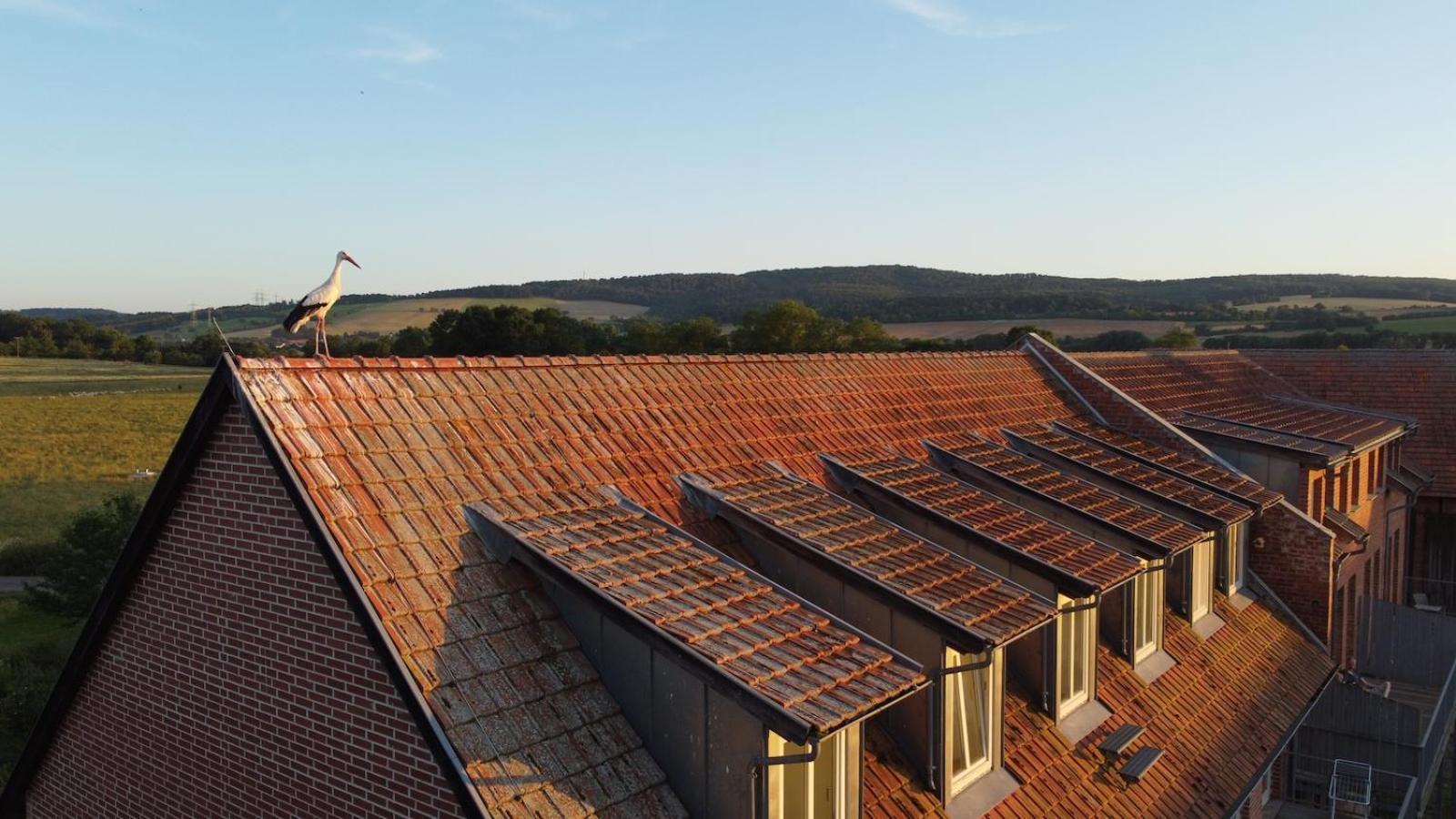 Biohotel Stiftsgut Wilhelmsgluecksbrunn Creuzburg Exterior photo